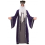 Wizard Costume Purple - Mens Halloween Costumes